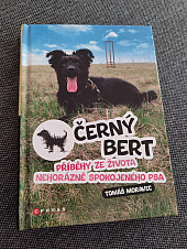 Černý Bert - příběhy ze života nehorázně spokojeného psa