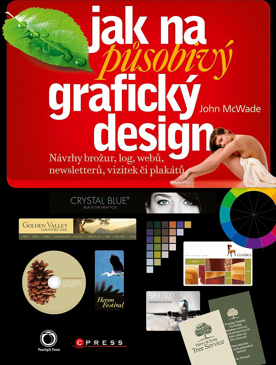 Jak na působivý grafický design: Návrhy brožur, log, webů, newsletterů, vizitek či plakátů
