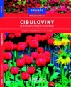 Cibuloviny - nejkrásnější druhy a odrůdy