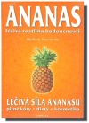 Ananas - léčivá rostlina budoucnosti