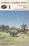 Sloni a jejich příbuzní