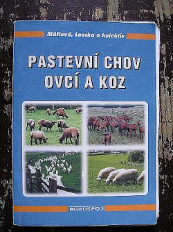 Pastevní chov ovcí a koz