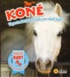 Koně - Nepostradatelná příručka pro mladé jezdce