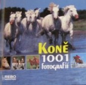 Koně: 1001 fotografií