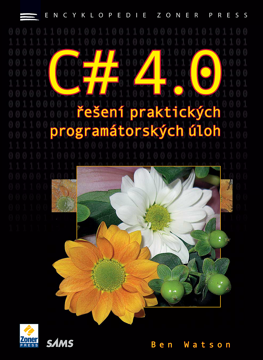 C# 4.0 - řešení praktických programátorských úloh