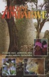 Záhadné Zimbabwe