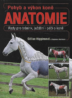 Pohyb a výkon koně - anatomie