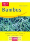 Bambus - Zahrada plus