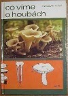 Co víme o houbách