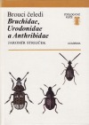 Brouci čeledí Bruchidae,Urodonidae a Anthribidae