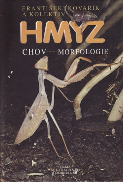 Hmyz chov - morfologie