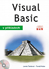 Visual Basic v příkladech