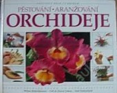 Orchideje: Pěstování - Aranžování