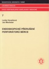 Endoskopické přerušení perforátorů bérce