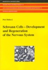Schwann Cells - Development and Regeneration of the Nervous System