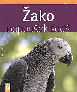 Žako papoušek šedý