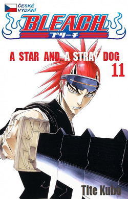A Star and a Stray Dog