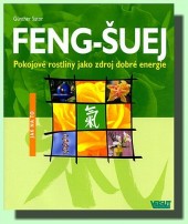 Feng-Šuej - pokojové rostliny jako zdroj dobré energie