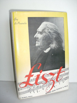 Franz Liszt : román jeho života a díla