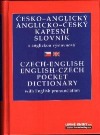 Malý česko-anglický anglicko-český slovník