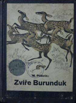 Zvíře Burunduk