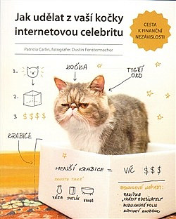 Jak udělat z vaší kočky internetovou celebritu