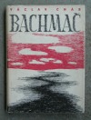 Bachmač - březen 1918
