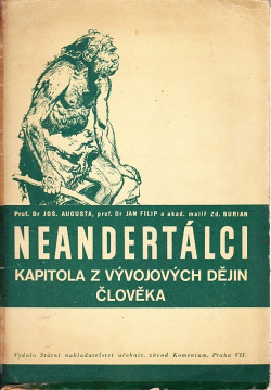 Neandertálci - kapitola z vývojových dějin člověka