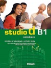 Studio d B1 -  Pracovní sešit