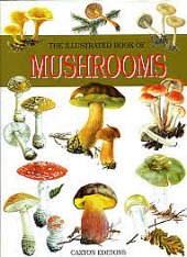 The Illustrated Book of Mushrooms