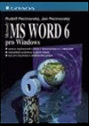 MS Word 6 pro Windows