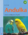 Andulka - živá zvědavá chytrá