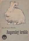 Angorský králík
