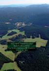 Stav, vývoj a management lesních ekosystémů v průběhu existence NP Šumava