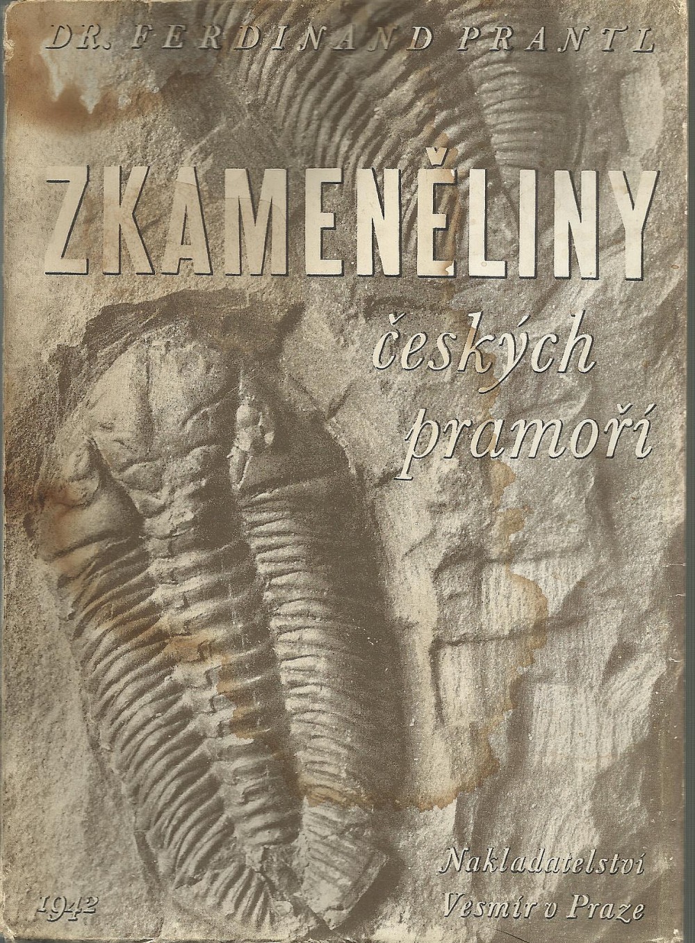 Zkameněliny českých pramoří