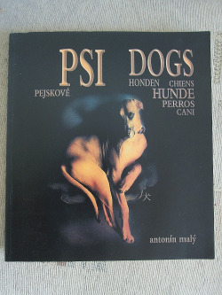 Psi / Dogs / Honden / Chiens / Hunde / Perros / Cani