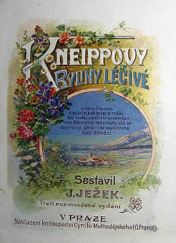 Kneippovy byliny léčivé
