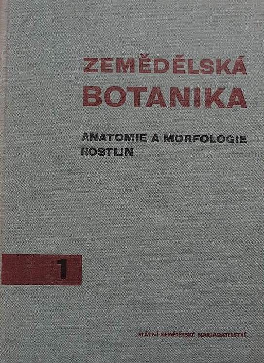 Zemědělská botanika - anatomie a morfologie rostlin