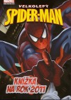 Spider-Man Knížka na rok 2011