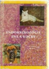 Endokrinologie psa a kočky