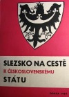 Slezsko na cestě k československému státu