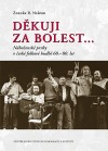 Děkuji za bolest: náboženské prvky v české folkové hudbě 60.–80.let