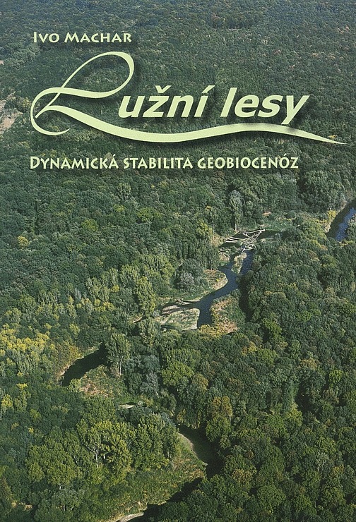 Lužní lesy: Dynamická stabilita geobiocenóz