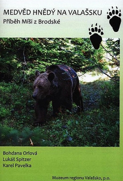 Medvěd hnědý na Valašsku: Příběh Míši z Brodské
