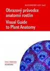 Obrazový průvodce anatomií rostlin / Visual Guide to Plant Anatomy