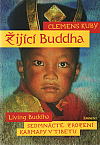 Žijící Buddha - Sedmnácté znovuzrození karmapy v Tibetu