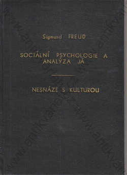 Sociální psychologie a analýza já