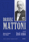 Dravec Mattoni