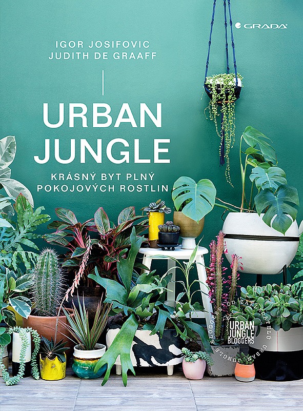 Urban Jungle krásný byt plný pokojových rostlin