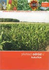 Přehled odrůd kukuřice 2007
